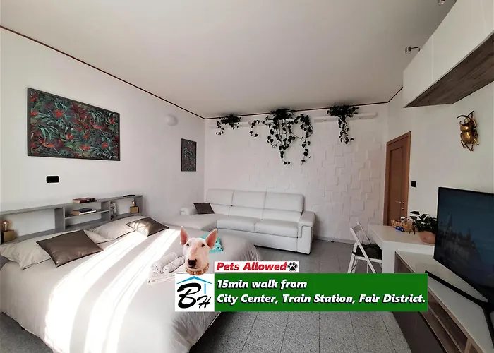 B&B Bologna Homestay B&B *