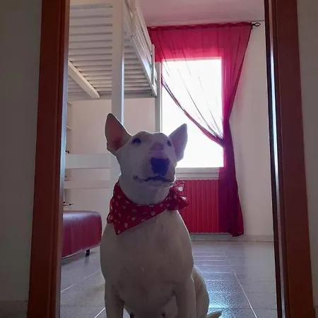 Bologna Homestay Oda ve Kahvaltı